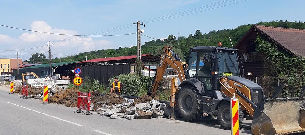 portofoliu-mundus-viridis-8